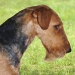 Prima FILOZOFIA (Fila)